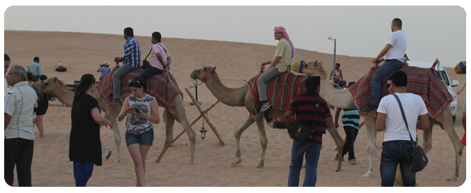 Camel riding dubai, camel ride dubai, camel tour dubai, camel safari dubai